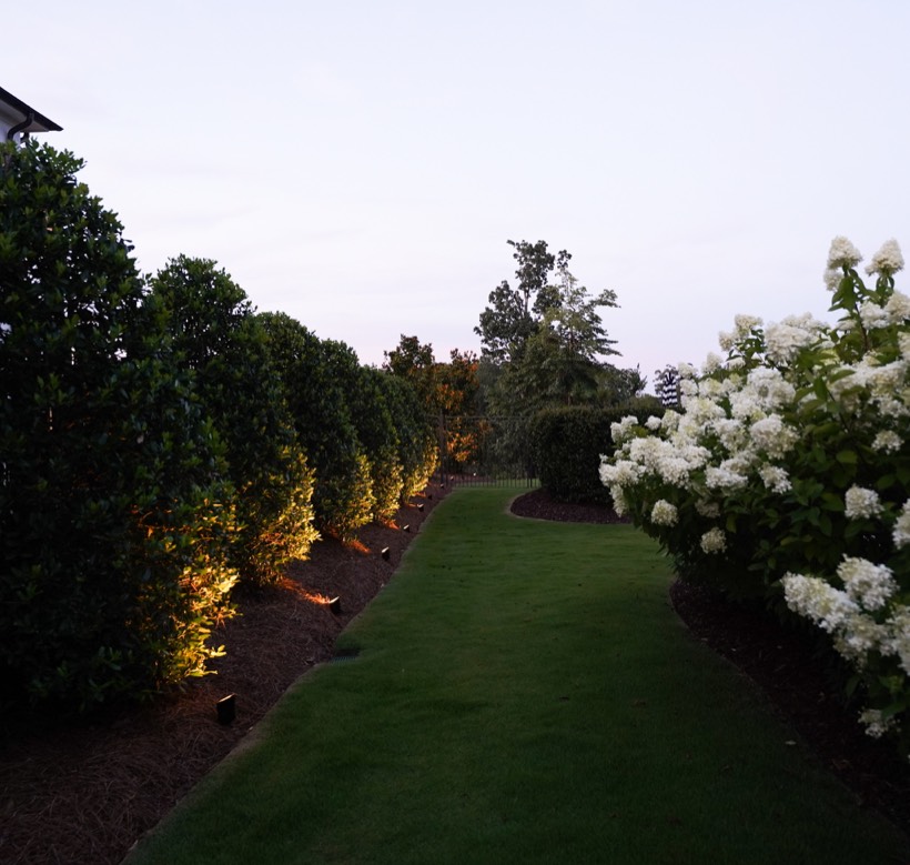 Path & Walkway Lighting