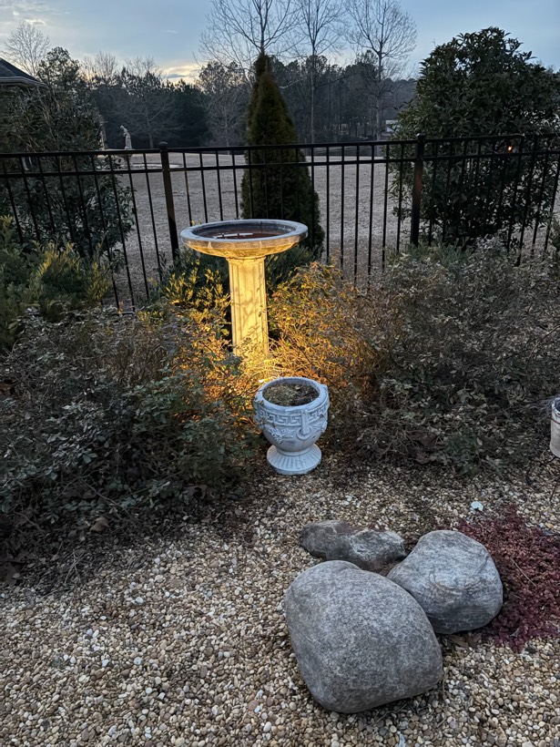Outdoor Living & Backyard
