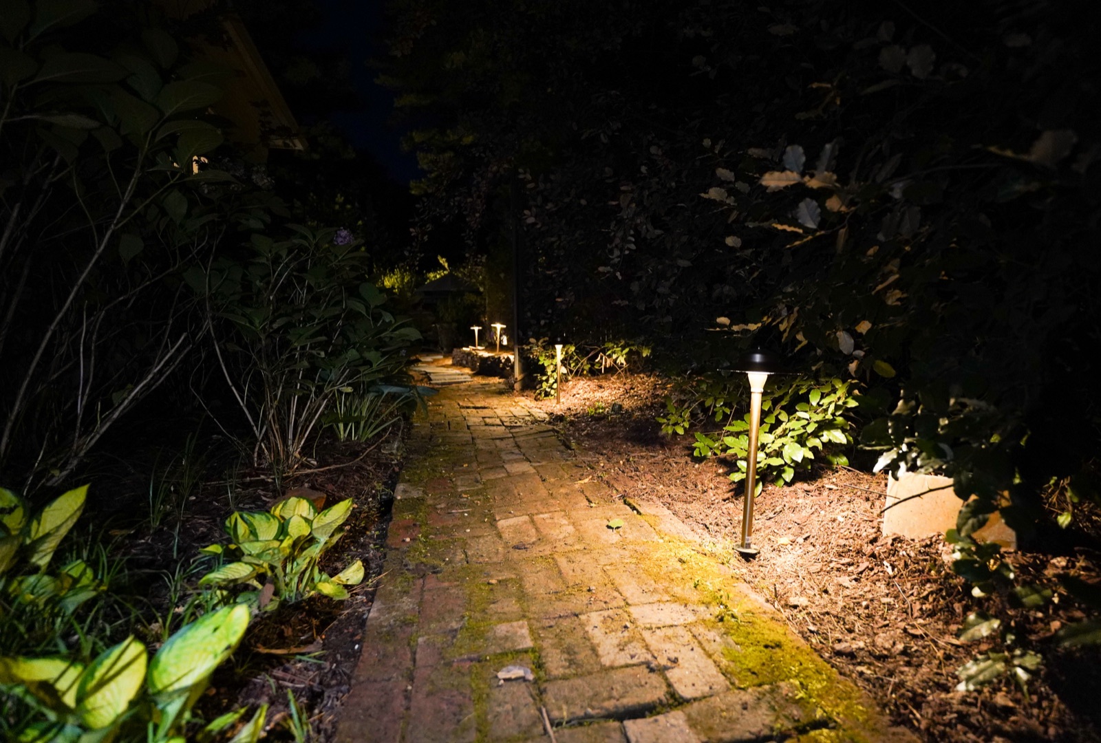 Path & Walkway Lighting